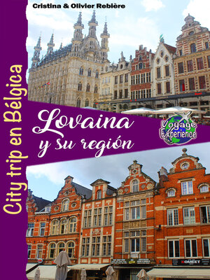 cover image of Lovaina y su región